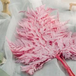 Preserved Pressed Flower Davallia Mariesii, Squirrel's Foot Fern Leaf , Multiple Color, 5 Pcs, 12inches Long, 8inches Width, DIY Material -Ncyp Garden Sale Shop 20210820002 1