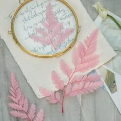 Preserved Pressed Flower Davallia Mariesii, Squirrel's Foot Fern Leaf , Multiple Color, 5 Pcs, 12inches Long, 8inches Width, DIY Material -Ncyp Garden Sale Shop 20210820002 7