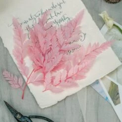 Preserved Pressed Flower Davallia Mariesii, Squirrel's Foot Fern Leaf , Multiple Color, 5 Pcs, 12inches Long, 8inches Width, DIY Material -Ncyp Garden Sale Shop 20210820002 8