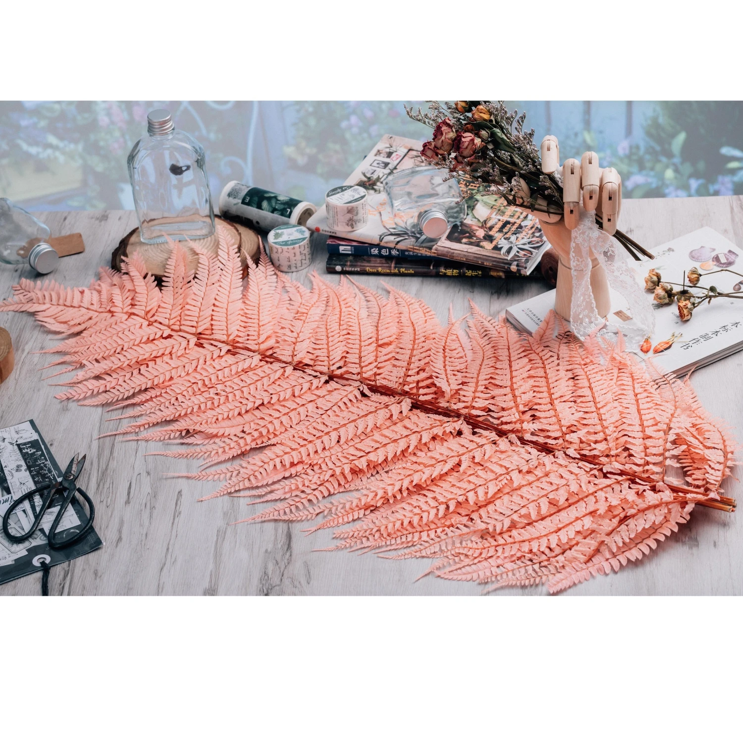 Preserved Pressed Flower Large Fern Branch Parathelypteris Glanduligera, Orange, 5 Pcs, 55cm Long, 35cm Width, DIY Material 2 Preserved Pressed Flower Large Fern Branch Parathelypteris Glanduligera, Orange, 5 Pcs, 55cm Long, 35cm Width, DIY Material - Image 2