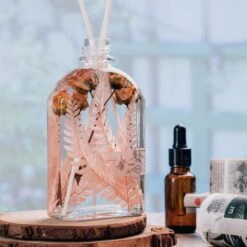 Preserved Pressed Flower Large Fern Branch Parathelypteris Glanduligera, Orange, 5 Pcs, 55cm Long, 35cm Width, DIY Material 12 Preserved Pressed Flower Large Fern Branch Parathelypteris Glanduligera, Orange, 5 Pcs, 55cm Long, 35cm Width, DIY Material -Ncyp Garden Sale Shop 20210831007 7