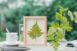 NCYP Handmade Personalized Tabletop Wall Hanging Natural Wood Glass Floating Frame For Photo 20 NCYP Handmade Personalized Tabletop Wall Hanging Natural Wood Glass Floating Frame For Photo -Ncyp Garden Sale Shop 20210831029 20200518019 1