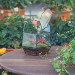 NCYP Small Close Geometric Glass Terrarium With Door, Tin Sealed Irregular Tall Planter For Moss Flower Pot