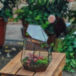 NCYP Small Close Geometric Glass Terrarium With Door, Tin Sealed Irregular Tall Planter For Moss Flower Pot 10 NCYP Small Close Geometric Glass Terrarium With Door, Tin Sealed Irregular Tall Planter For Moss Flower Pot -Ncyp Garden Sale Shop 20211215002 9
