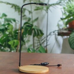 NCYP Customizable Tabletop Natural Wood Round Board LED Grow Display Light Indoor 10W For Terrarium Succulent Fern Bonsai Moss -35cm