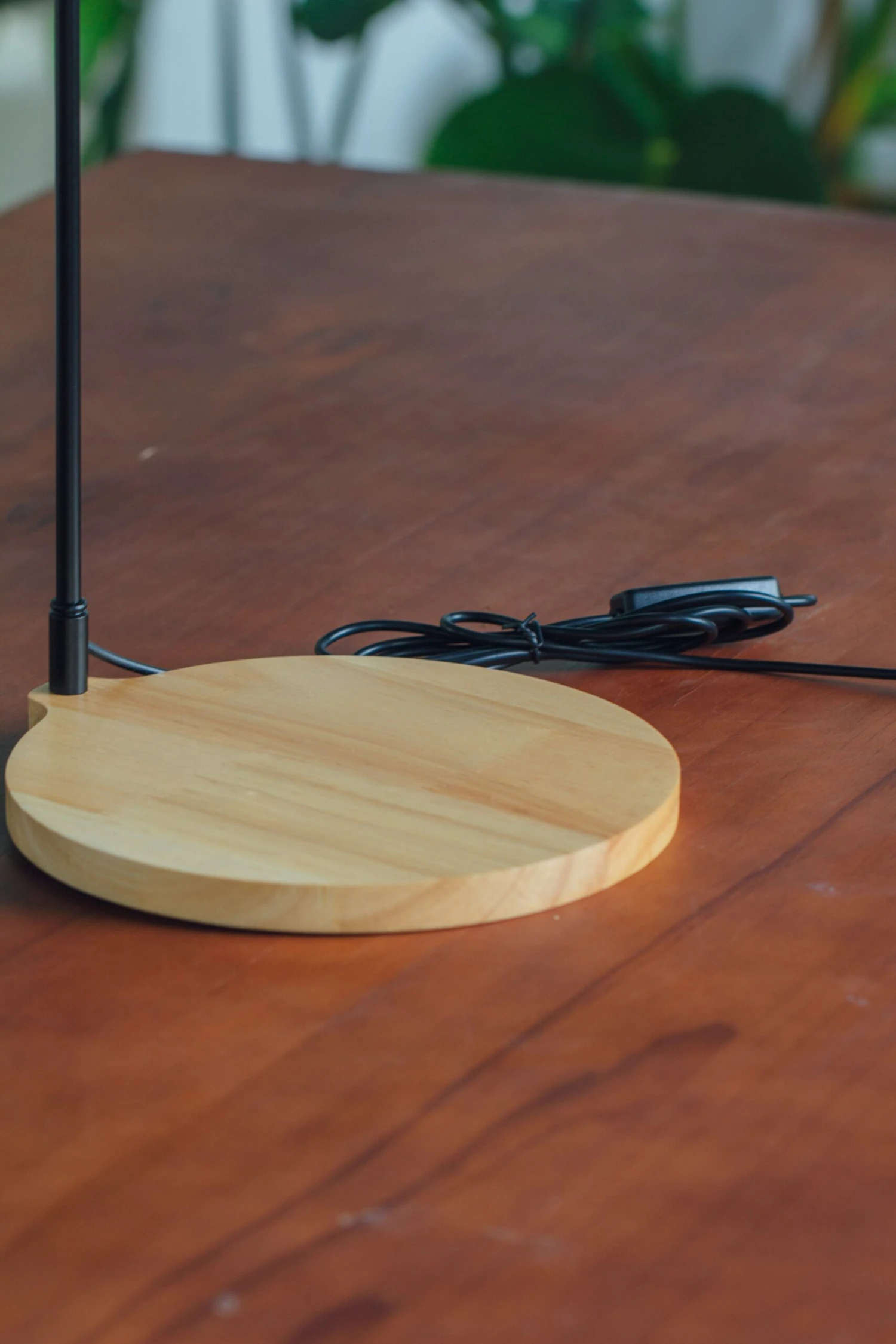 NCYP Customizable Tabletop Natural Wood Round Board LED Grow Display Light Indoor 10W For Terrarium Succulent Fern Bonsai Moss -30cm 5 NCYP Customizable Tabletop Natural Wood Round Board LED Grow Display Light Indoor 10W For Terrarium Succulent Fern Bonsai Moss -30cm - Image 5