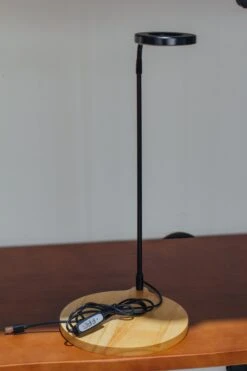 NCYP Customizable Tabletop Natural Wood Round Board LED Grow Display Light Indoor 10W For Terrarium Succulent Fern Bonsai Moss -30cm 17 NCYP Customizable Tabletop Natural Wood Round Board LED Grow Display Light Indoor 10W For Terrarium Succulent Fern Bonsai Moss -30cm -Ncyp Garden Sale Shop 20220414001 4