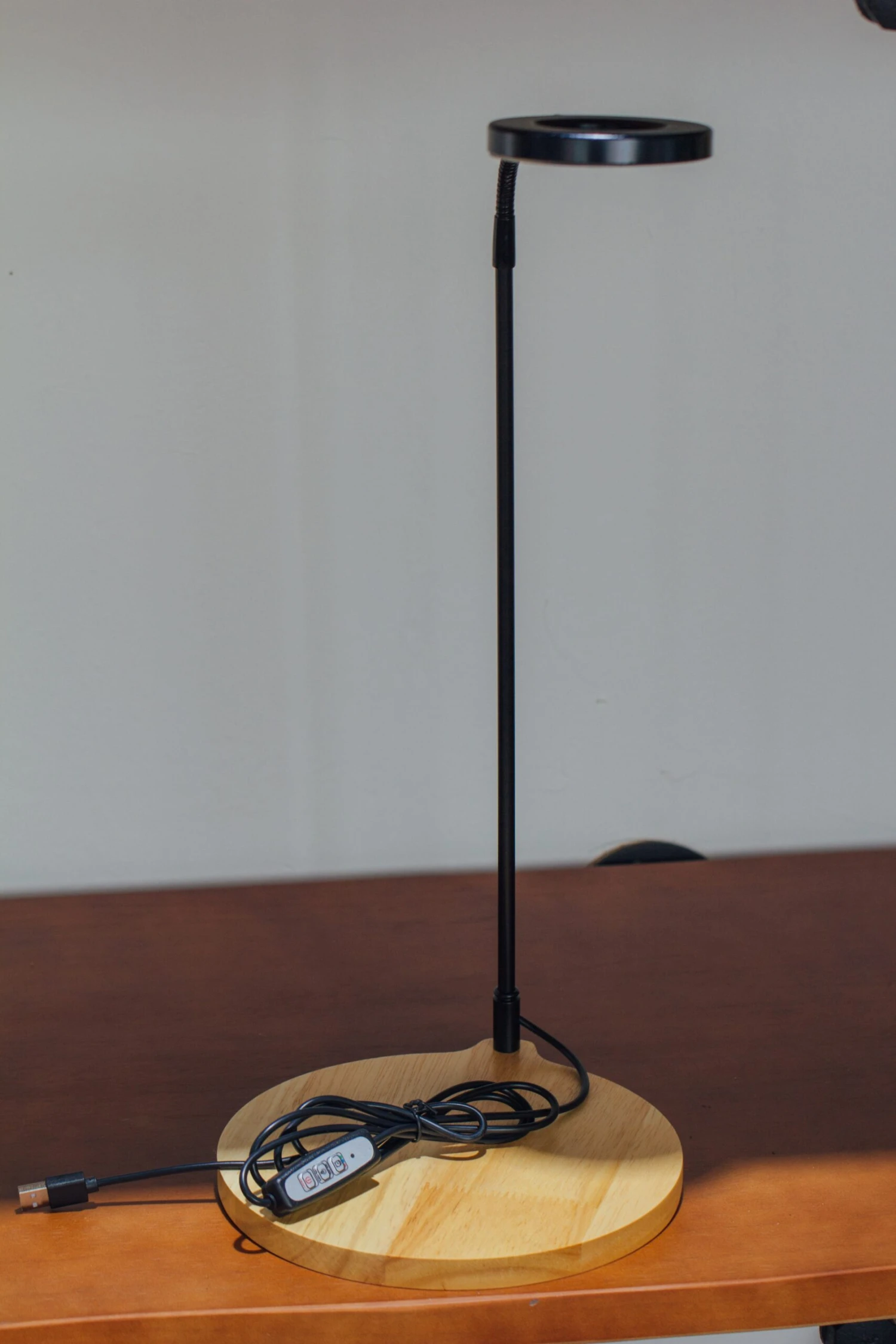 NCYP Customizable Tabletop Natural Wood Round Board LED Grow Display Light Indoor 10W For Terrarium Succulent Fern Bonsai Moss -30cm 7 NCYP Customizable Tabletop Natural Wood Round Board LED Grow Display Light Indoor 10W For Terrarium Succulent Fern Bonsai Moss -30cm - Image 7