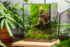 NCYP Close Geometric Glass Terrarium With Door, Tin Sealed Rectangle Tall Moss Wall Planter For Moss Wall, Fern, Landscape -Ncyp Garden Sale Shop 20220425001 12