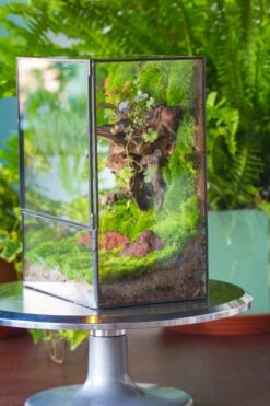 NCYP Close Geometric Glass Terrarium With Door, Tin Sealed Rectangle Tall Moss Wall Planter For Moss Wall, Fern, Landscape -Ncyp Garden Sale Shop 20220425001 21