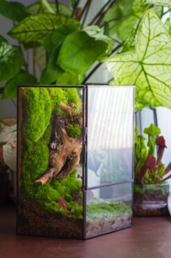 NCYP Close Geometric Glass Terrarium With Door, Tin Sealed Rectangle Tall Moss Wall Planter For Moss Wall, Fern, Landscape -Ncyp Garden Sale Shop 20220425001 3