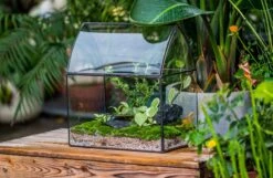 Handmade Unique Closed Terrarium With Arched Roof | HouseShape Closed Planter For Tropical Plants, Moss | Miniature Greenhouse Gift 24 Handmade Unique Closed Terrarium With Arched Roof | HouseShape Closed Planter For Tropical Plants, Moss | Miniature Greenhouse Gift -Ncyp Garden Sale Shop 20220607004 14 03717ca6 dfb7 436e 9bea c5d81e27c9d4
