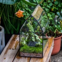 Handmade Unique Closed Terrarium With Arched Roof | HouseShape Closed Planter For Tropical Plants, Moss | Miniature Greenhouse Gift 26 Handmade Unique Closed Terrarium With Arched Roof | HouseShape Closed Planter For Tropical Plants, Moss | Miniature Greenhouse Gift -Ncyp Garden Sale Shop 20220607004 15