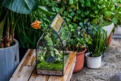 Handmade Unique Closed Terrarium With Arched Roof | HouseShape Closed Planter For Tropical Plants, Moss | Miniature Greenhouse Gift 25 Handmade Unique Closed Terrarium With Arched Roof | HouseShape Closed Planter For Tropical Plants, Moss | Miniature Greenhouse Gift -Ncyp Garden Sale Shop 20220607004 15 00df7b43 5179 496c 9878 18db6b182be3