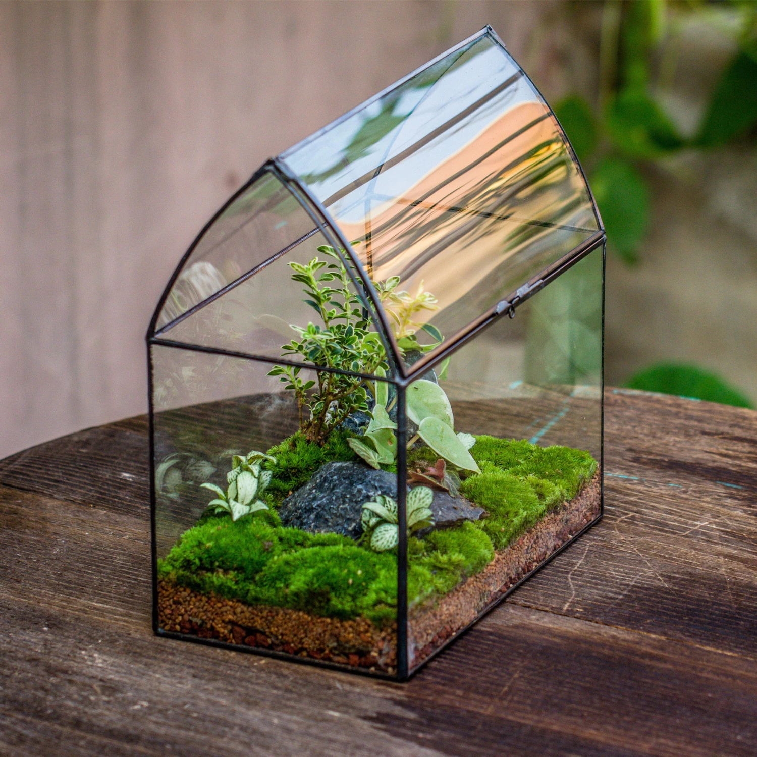 Handmade Unique Closed Terrarium With Arched Roof | HouseShape Closed Planter For Tropical Plants, Moss | Miniature Greenhouse Gift 6 Handmade Unique Closed Terrarium With Arched Roof | HouseShape Closed Planter For Tropical Plants, Moss | Miniature Greenhouse Gift - Image 6