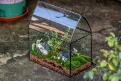 Handmade Unique Closed Terrarium With Arched Roof | HouseShape Closed Planter For Tropical Plants, Moss | Miniature Greenhouse Gift 20 Handmade Unique Closed Terrarium With Arched Roof | HouseShape Closed Planter For Tropical Plants, Moss | Miniature Greenhouse Gift -Ncyp Garden Sale Shop 20220607004 3 7d2897c0 6d93 4a53 9525 ba44d04ee581