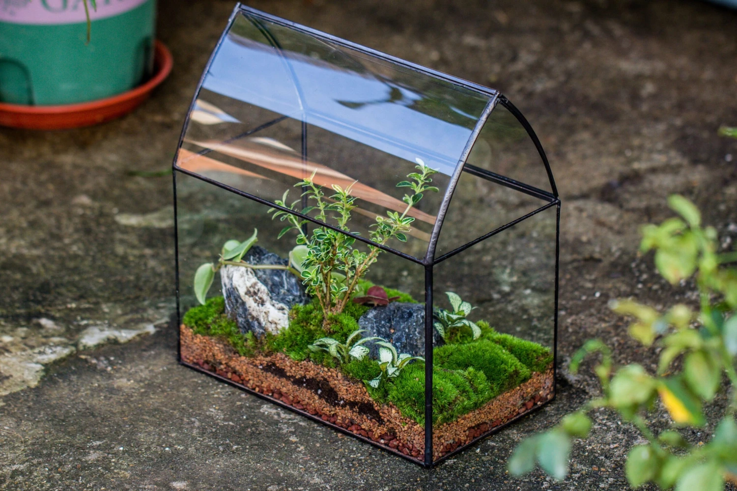 Handmade Unique Closed Terrarium With Arched Roof | HouseShape Closed Planter For Tropical Plants, Moss | Miniature Greenhouse Gift 7 Handmade Unique Closed Terrarium With Arched Roof | HouseShape Closed Planter For Tropical Plants, Moss | Miniature Greenhouse Gift - Image 7
