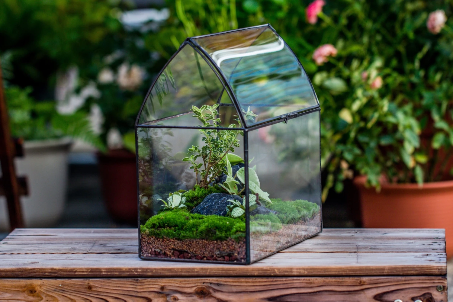 Handmade Unique Closed Terrarium With Arched Roof | HouseShape Closed Planter For Tropical Plants, Moss | Miniature Greenhouse Gift 9 Handmade Unique Closed Terrarium With Arched Roof | HouseShape Closed Planter For Tropical Plants, Moss | Miniature Greenhouse Gift - Image 9