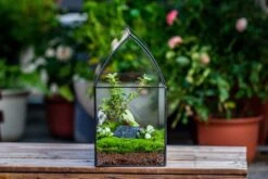 Handmade Unique Closed Terrarium With Arched Roof | HouseShape Closed Planter For Tropical Plants, Moss | Miniature Greenhouse Gift 23 Handmade Unique Closed Terrarium With Arched Roof | HouseShape Closed Planter For Tropical Plants, Moss | Miniature Greenhouse Gift -Ncyp Garden Sale Shop 20220607004 6 02b1f451 c7e9 4569 8290 c55aeebc074c
