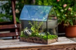 Handmade Unique Closed Terrarium With Arched Roof | HouseShape Closed Planter For Tropical Plants, Moss | Miniature Greenhouse Gift 16 Handmade Unique Closed Terrarium With Arched Roof | HouseShape Closed Planter For Tropical Plants, Moss | Miniature Greenhouse Gift -Ncyp Garden Sale Shop 20220607004 7 9150c74d a478 41a9 b939 6cb9d8e498d0