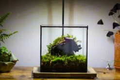 8" Cube NCYP BasicClose Geometric Glass Tin Terrarium, Planter For Moss Wall, Fern, Landscape, No Plants -Ncyp Garden Sale Shop 20221118023 1