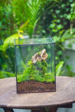 8x8x10" NCYP Basic Rectangle Close Geometric Glass Tin Terrarium, Planter For Moss Wall, Fern, Landscape, No Plants -Ncyp Garden Sale Shop 20221118029 11