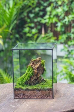 8x8x10" NCYP Basic Rectangle Close Geometric Glass Tin Terrarium, Planter For Moss Wall, Fern, Landscape, No Plants -Ncyp Garden Sale Shop 20221118029 13