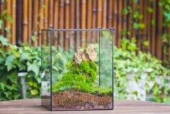 8x8x10" NCYP Basic Rectangle Close Geometric Glass Tin Terrarium, Planter For Moss Wall, Fern, Landscape, No Plants -Ncyp Garden Sale Shop 20221118029 25