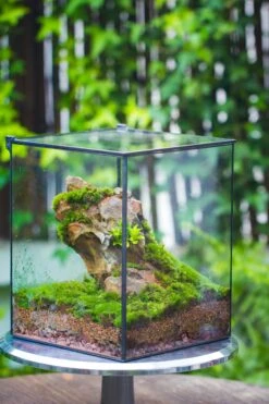 8x8x10" NCYP Basic Rectangle Close Geometric Glass Tin Terrarium, Planter For Moss Wall, Fern, Landscape, No Plants -Ncyp Garden Sale Shop 20221118029 6