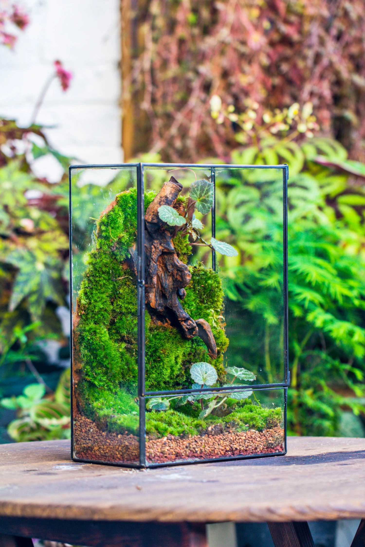 8x12" Close Geometric Glass Terrarium With Door, Tin Sealed Rectangle Tall Planter For Moss Wall, Fern, Landscape Multiple Size, No Plants 8 8x12" Close Geometric Glass Terrarium With Door, Tin Sealed Rectangle Tall Planter For Moss Wall, Fern, Landscape Multiple Size, No Plants - Image 8