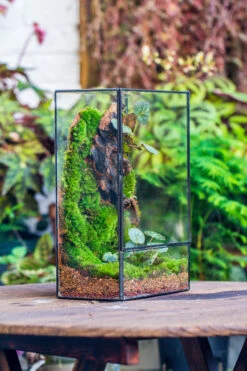 8x12" Close Geometric Glass Terrarium With Door, Tin Sealed Rectangle Tall Planter For Moss Wall, Fern, Landscape Multiple Size, No Plants 23 8x12" Close Geometric Glass Terrarium With Door, Tin Sealed Rectangle Tall Planter For Moss Wall, Fern, Landscape Multiple Size, No Plants -Ncyp Garden Sale Shop 20221118037 14