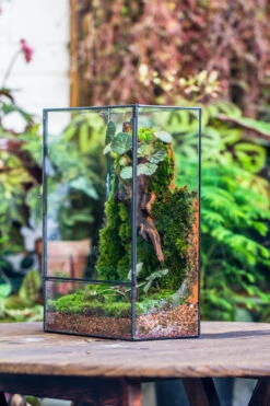 8x12" Close Geometric Glass Terrarium With Door, Tin Sealed Rectangle Tall Planter For Moss Wall, Fern, Landscape Multiple Size, No Plants 24 8x12" Close Geometric Glass Terrarium With Door, Tin Sealed Rectangle Tall Planter For Moss Wall, Fern, Landscape Multiple Size, No Plants -Ncyp Garden Sale Shop 20221118037 16