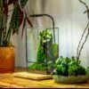 8x12" Close Geometric Glass Terrarium With Door, Tin Sealed Rectangle Tall Planter For Moss Wall, Fern, Landscape Multiple Size, No Plants