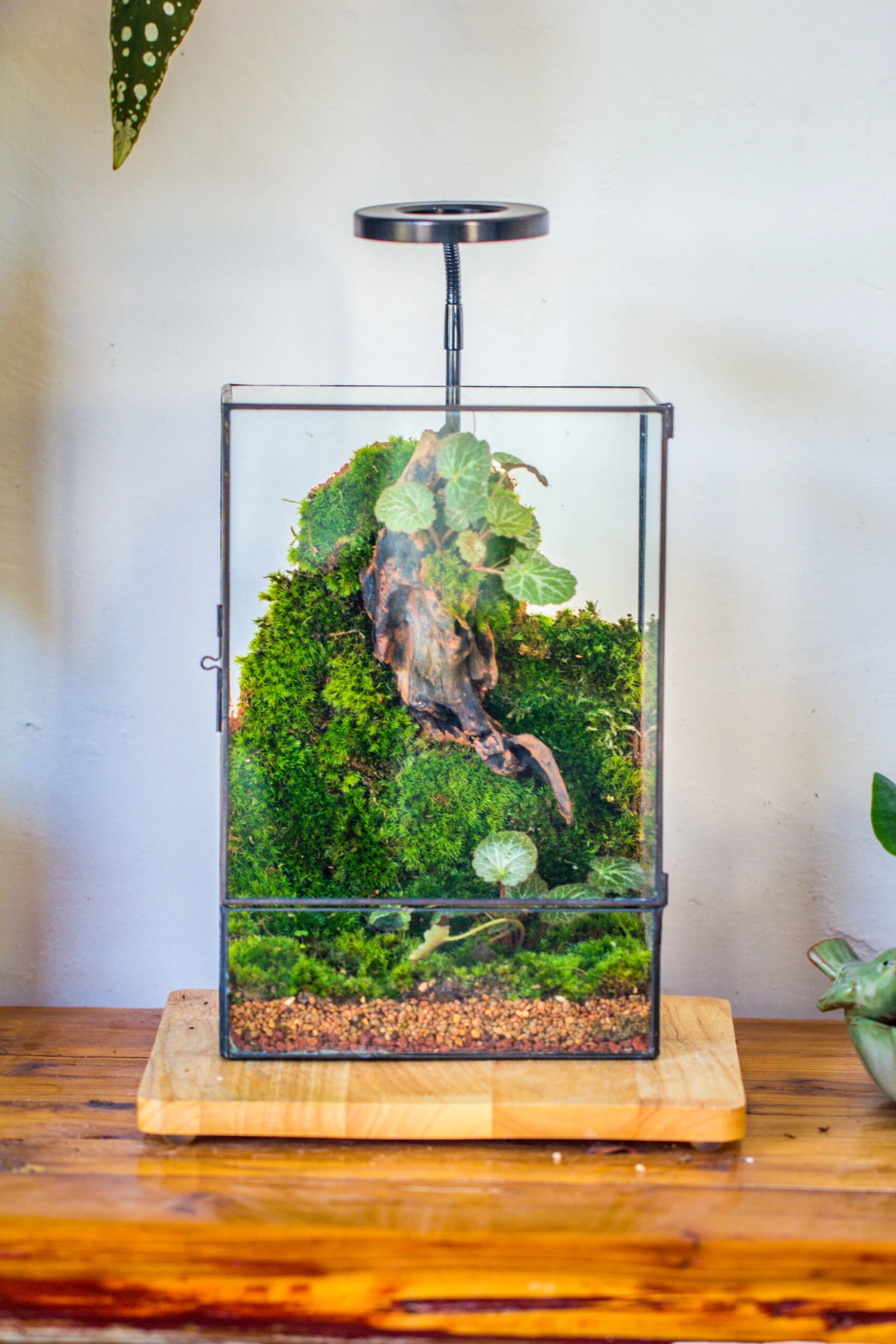 8x12" Close Geometric Glass Terrarium With Door, Tin Sealed Rectangle Tall Planter For Moss Wall, Fern, Landscape Multiple Size, No Plants 6 8x12" Close Geometric Glass Terrarium With Door, Tin Sealed Rectangle Tall Planter For Moss Wall, Fern, Landscape Multiple Size, No Plants - Image 6