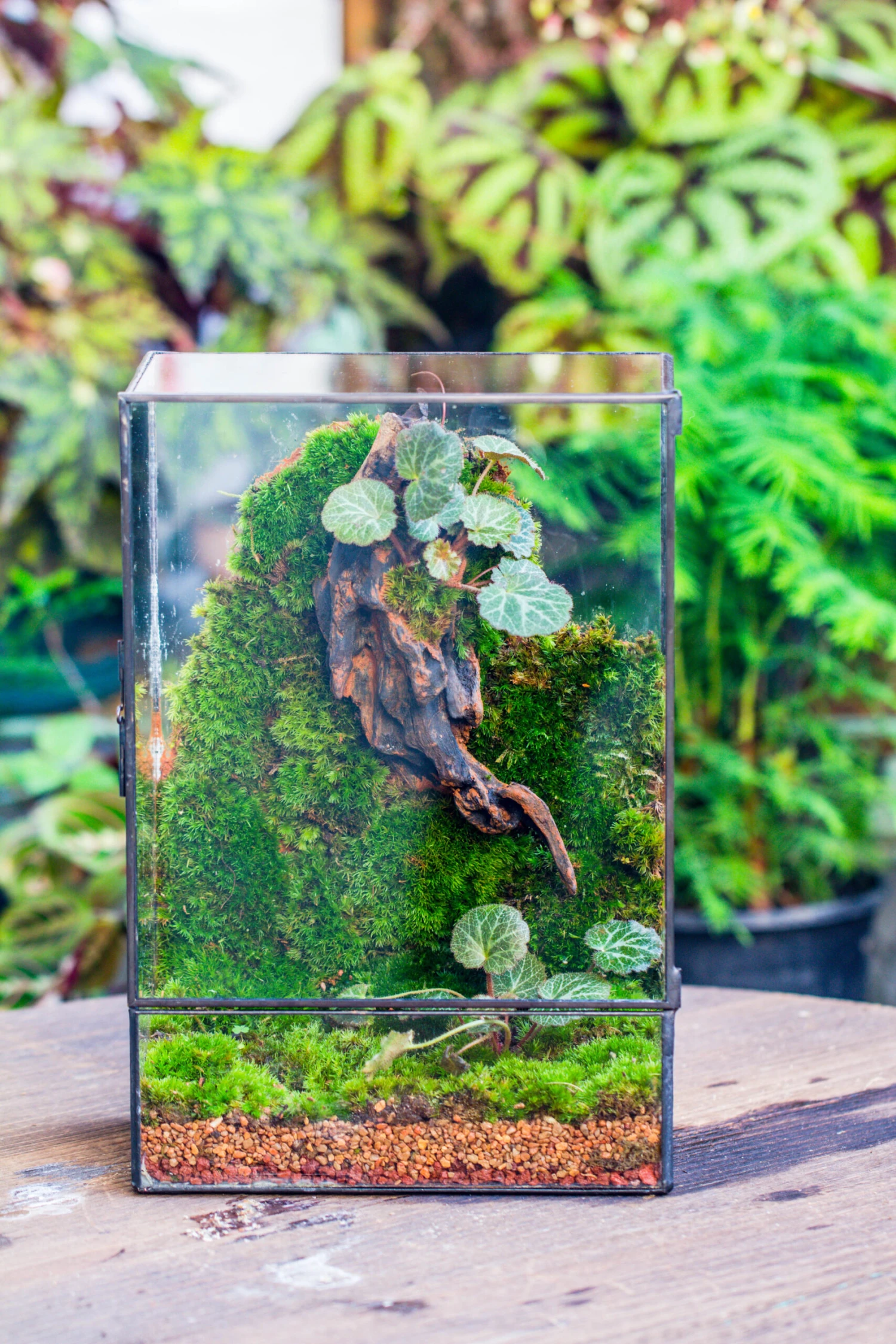 8x12" Close Geometric Glass Terrarium With Door, Tin Sealed Rectangle Tall Planter For Moss Wall, Fern, Landscape Multiple Size, No Plants 7 8x12" Close Geometric Glass Terrarium With Door, Tin Sealed Rectangle Tall Planter For Moss Wall, Fern, Landscape Multiple Size, No Plants - Image 7