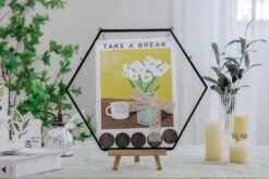 Wall Hanging Black Hexagon 12" Herbarium Brass Glass Frame For Thick Pressed Flowers, Dried Flowers, Poster, Coin, Double Glass, Floating -Ncyp Garden Sale Shop 20221122003 3