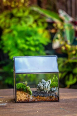 Handmade Black Gold Glass Box Geometric Terrarium With Lid For Planter Container Storage Case Gift -Ncyp Garden Sale Shop 20230221019 2
