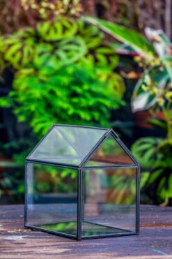 Handmade Black Copper House Shape Glass Geometric Terrarium Planter For Succulent Moss Airplants 22 Handmade Black Copper House Shape Glass Geometric Terrarium Planter For Succulent Moss Airplants -Ncyp Garden Sale Shop 20230221019 28