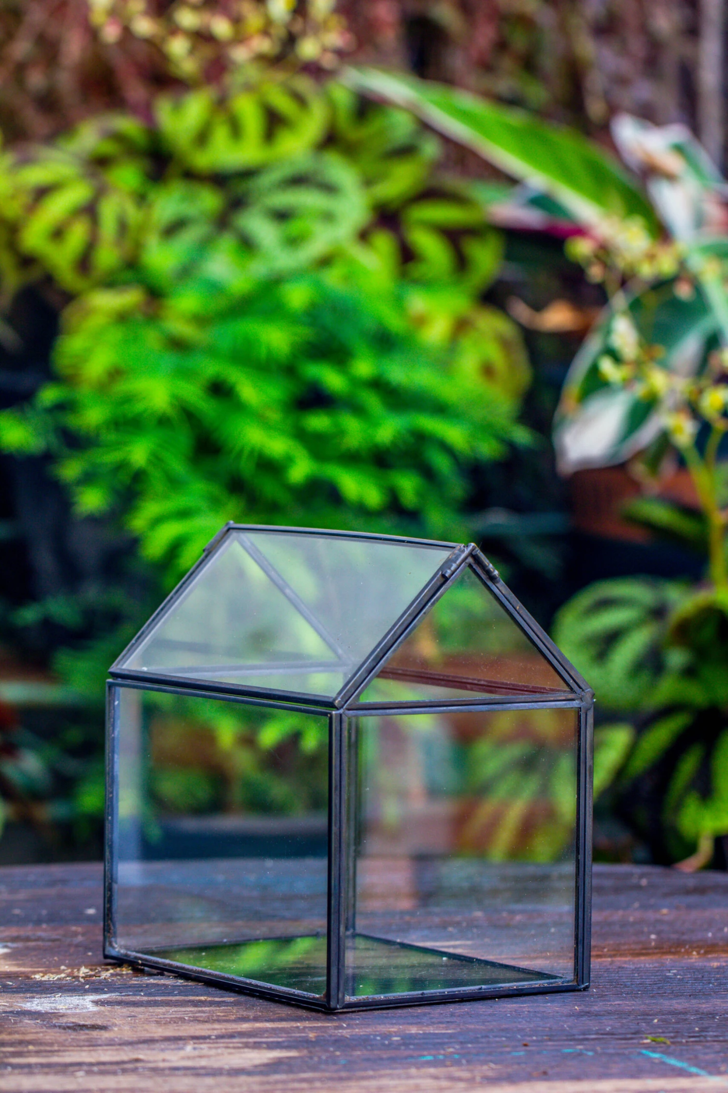 Handmade Black Copper House Shape Glass Geometric Terrarium Planter For Succulent Moss Airplants 10 Handmade Black Copper House Shape Glass Geometric Terrarium Planter For Succulent Moss Airplants - Image 10