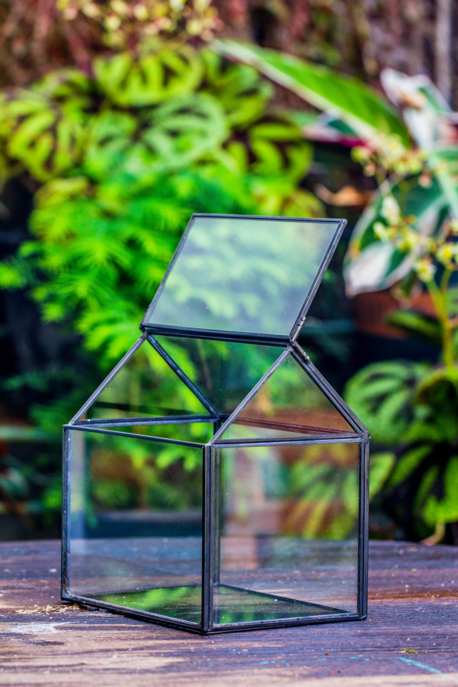 Handmade Black Copper House Shape Glass Geometric Terrarium Planter For Succulent Moss Airplants 11 Handmade Black Copper House Shape Glass Geometric Terrarium Planter For Succulent Moss Airplants - Image 11