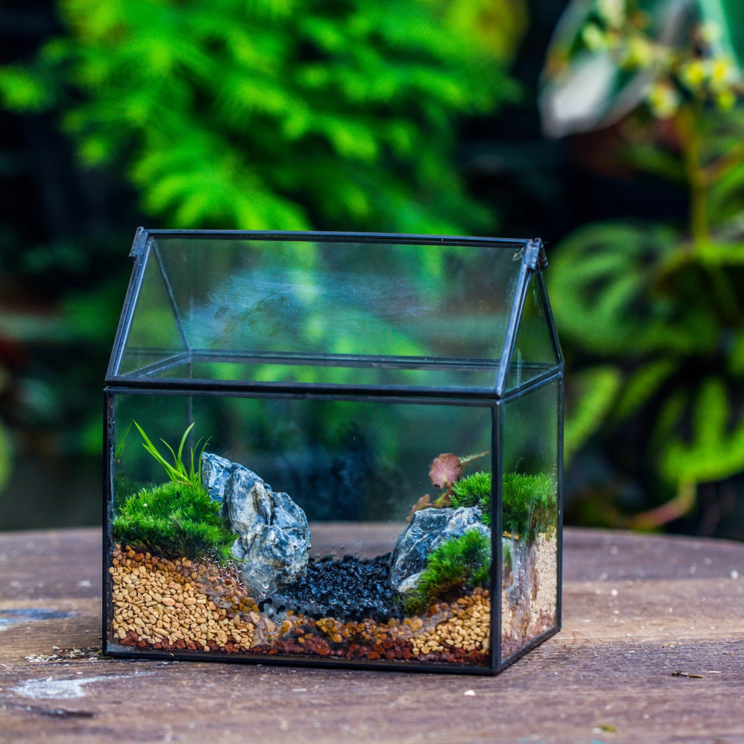 Handmade Black Copper House Shape Glass Geometric Terrarium Planter For Succulent Moss Airplants 3 Handmade Black Copper House Shape Glass Geometric Terrarium Planter For Succulent Moss Airplants - Image 3