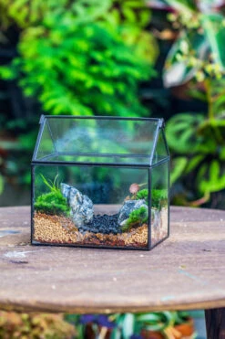 Handmade Black Copper House Shape Glass Geometric Terrarium Planter For Succulent Moss Airplants 24 Handmade Black Copper House Shape Glass Geometric Terrarium Planter For Succulent Moss Airplants -Ncyp Garden Sale Shop 20230221019 33