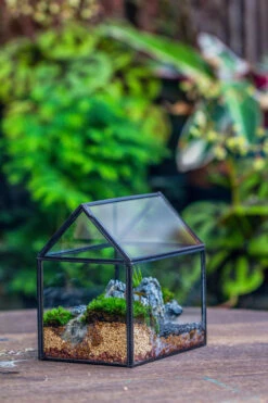 Handmade Black Gold Glass Box Geometric Terrarium With Lid For Planter Container Storage Case Gift -Ncyp Garden Sale Shop 20230221019 36