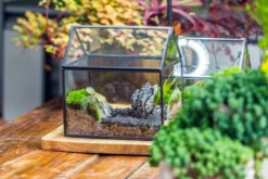 Handmade Black Copper House Shape Glass Geometric Terrarium Planter For Succulent Moss Airplants 25 Handmade Black Copper House Shape Glass Geometric Terrarium Planter For Succulent Moss Airplants -Ncyp Garden Sale Shop 20230221019 39