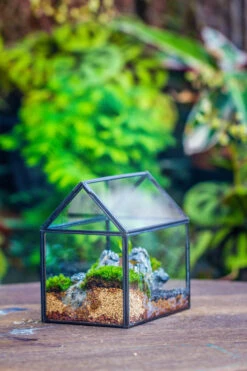 Handmade Black Gold Glass Box Geometric Terrarium With Lid For Planter Container Storage Case Gift -Ncyp Garden Sale Shop 20230221019 4 e29abec4 3894 4b72 93af 029848c7ae0f