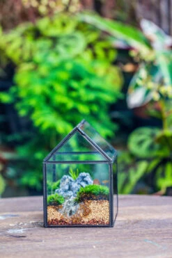 Handmade Black Gold Glass Box Geometric Terrarium With Lid For Planter Container Storage Case Gift -Ncyp Garden Sale Shop 20230221019 5 db2a985e 3471 464d bd26 4824bc65ba92