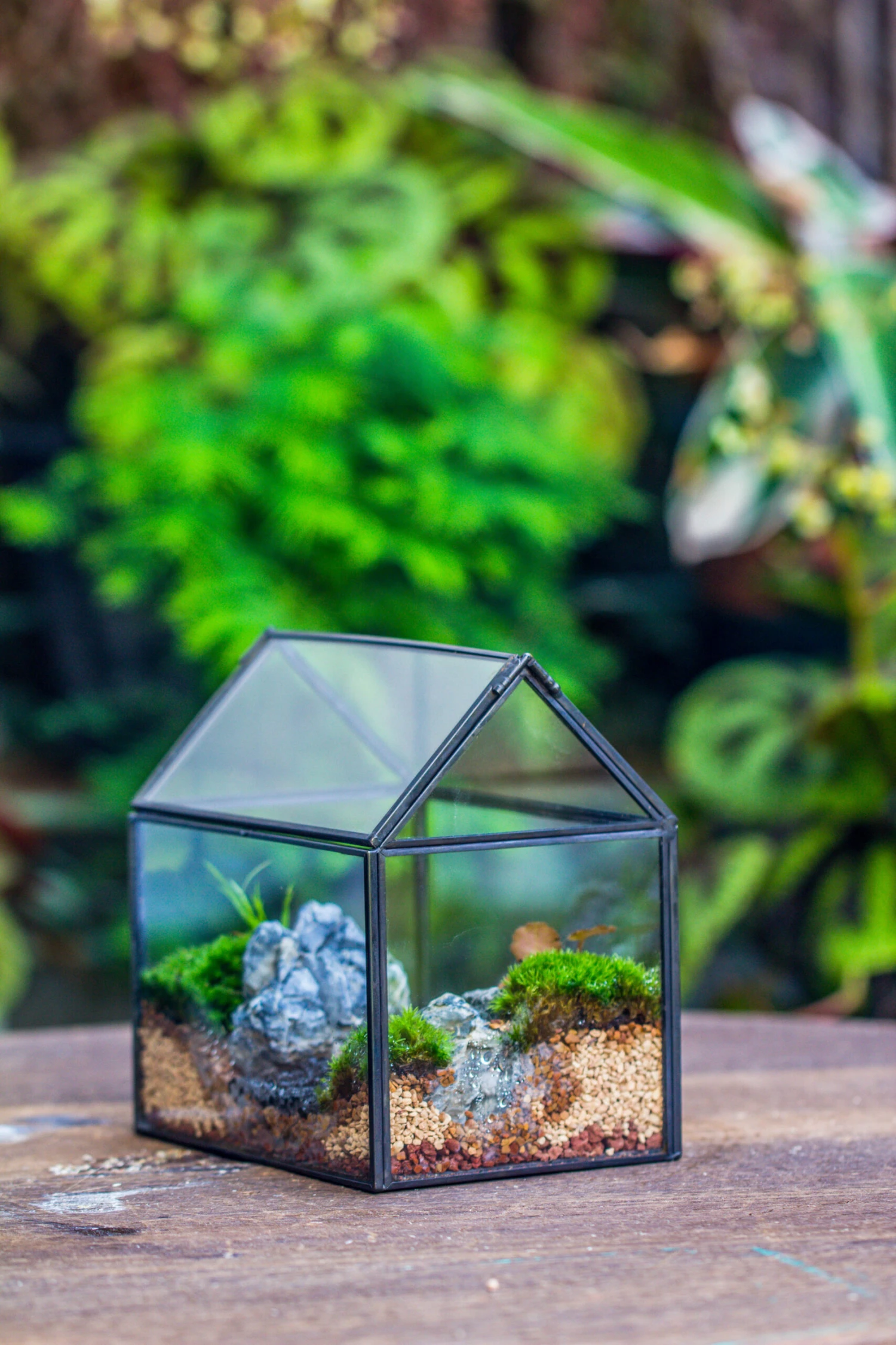 Handmade Black Copper House Shape Glass Geometric Terrarium Planter For Succulent Moss Airplants 6 Handmade Black Copper House Shape Glass Geometric Terrarium Planter For Succulent Moss Airplants - Image 6