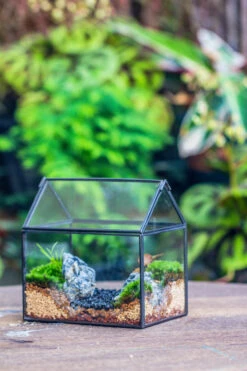 Handmade Black Gold Glass Box Geometric Terrarium With Lid For Planter Container Storage Case Gift -Ncyp Garden Sale Shop 20230221019 7 579eb19d eaaf 4a4e 9e79 1ae4af91bb97