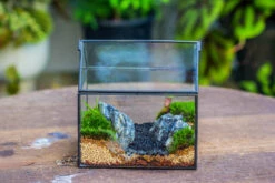 Handmade Black Gold Glass Box Geometric Terrarium With Lid For Planter Container Storage Case Gift -Ncyp Garden Sale Shop 20230221019 9