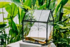 Vintage House Glass Geometric Terrarium Card Box Black 32 Vintage House Glass Geometric Terrarium Card Box Black -Ncyp Garden Sale Shop 20230329020 12